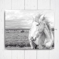 
                    
                        Wild White Mustang DIGITAL DOWNLOAD by RockyMountainMajesty
                    
                