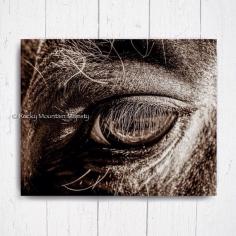 
                    
                        Horse Eye Reflections 8x10 Printable Art by RockyMountainMajesty
                    
                