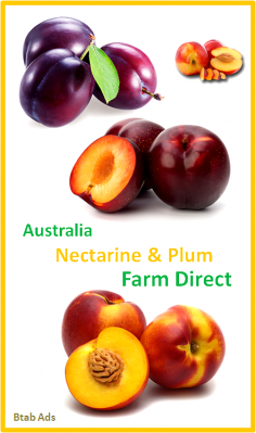 Australia Nectarine & Plum


Australia's Fruit Farms
-------------------------------
Address: 731 Canning Road Carmel, 6076 Western Australia Tel: +61408 293 521

for more details email us:
info@farmterest.com