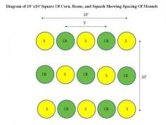 
                    
                        Diagram showing Three Sisters Garden spacing... Great article on how to plant this type of garden
                    
                