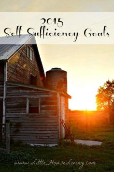 
                    
                        Self Sufficiency Goals 2015 - Little House Living
                    
                