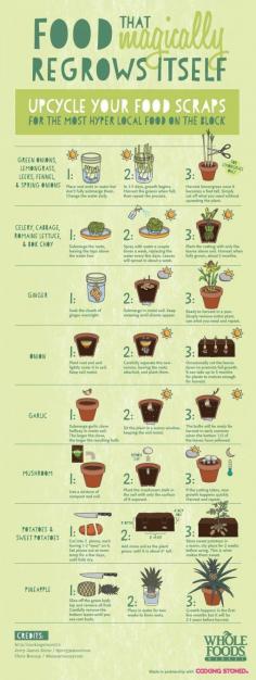 
                    
                        Upcycle your food scraps #Food, #Grow
                    
                