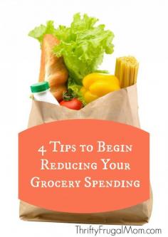 
                    
                        Want to reduce your grocery spending? These 4 tips will help you get started--- great practical advice that anyone can easily follow!
                    
                
