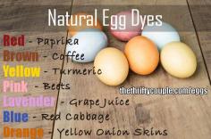 
                    
                        How to dye Easter Eggs naturally! It is easy with these natural formulas using real food to dye your hard boiled eggs!
                    
                