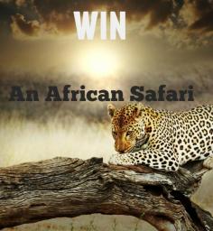 
                    
                        Ashanti goes wild with an African safari giveaway worth $4000.   The prize is a safari from Victoria Falls to Cape Town and accommodation at the Ashanti Lodge when you have finished this amazing safari.  click to enter and share it with your friends
                    
                