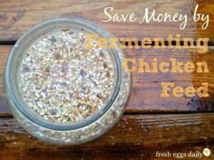 
                    
                        How to Save Money by Fermenting Chicken Feed
                    
                