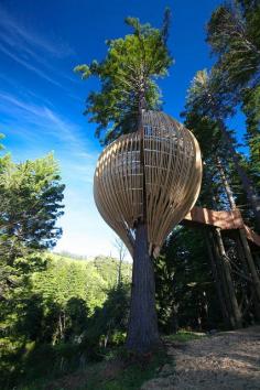 
                    
                        The Yellow Treehouse Restaurant at night near Auckland, New Zealand
                    
                