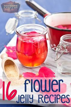 
                    
                        16 Flower Jelly Recipes That'll Knock Your Socks Off!
                    
                