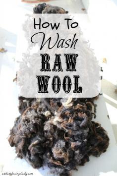 
                    
                        Interested in learning how to wash your own wool? The first in a series on processing raw wool!  How to Wash Raw Wool | areturntosimplici...
                    
                
