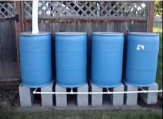 
                    
                        Home Made 220 Gallon Rain Barrel Collection System For $150.00
                    
                