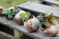 
                    
                        Shells #spring #upcycle
                    
                