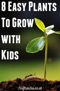 
                    
                        8 Easy Plants To Grow With Kids
                    
                