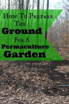 
                    
                        Preparing the ground for a permaculture garden | areturntosimplici...
                    
                
