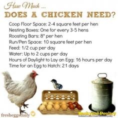 
                    
                        How much feed/water/space does a chicken need?
                    
                