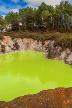 
                    
                        Crazy looking pool in Rotorua, New Zealand | The Planet D: Adventure Travel Blog
                    
                