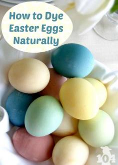 
                    
                        Learn how to dye eggs for Easter using all natural ingredients like onion skins, instant coffee, blueberries, beets and more. They look better and are a healthier choice than the food-dye tablets you buy at the store.
                    
                