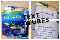 
                    
                        GO on a text hunt for text features!
                    
                