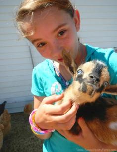 
                    
                        Animal-Care Chores For Kids
                    
                