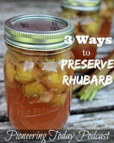 
                    
                        Want to have rhubarb all year long? Learn how to save money by preserving food when it's in season for year long use. Read now for 3 ways to preserve rhubarb and spring canning tips and recipes.
                    
                