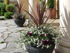 
                    
                        Putting Planters to Work in the Landscape : Outdoors : HGTV
                    
                
