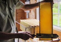 
                    
                        How to Decap Honey Frames with a Heat Gun « Mud Songs
                    
                