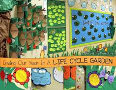 
                    
                        Ending the Year in a Life Cycle Garden.  Ideas for open house plus free butterfly kids writing craft.
                    
                