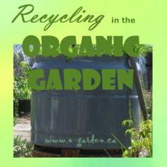 
                    
                        Recycling in the Organic Garden - re-use and re-purpose
                    
                