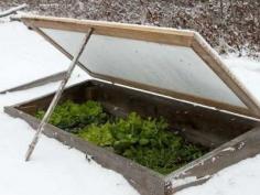
                    
                        Vegetable Garden In The Snow? Here’s 5 Ways To Do It
                    
                