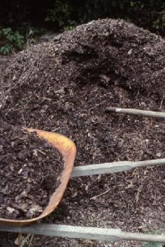 
                    
                        Peat Moss Alternatives  -- if you're a fan of Square Foot Gardening but don't follow Mel's suggestion of using Peat Moss, here are some good alternatives for your gardens...
                    
                