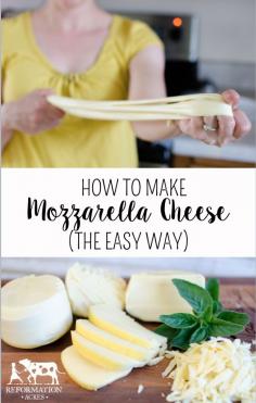 
                    
                        I've been doing it all wrong! This is such a super easy way to make really good mozzarella cheese!
                    
                