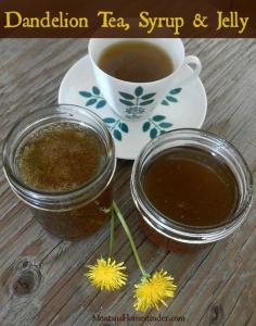 
                    
                        How to make dandelion tea, syrup and jelly |  Montana Homesteader
                    
                