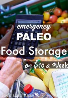 
                    
                        A Year's Worth of Emergency Paleo Food Storage on just $10 a Week | The Paleo Mama
                    
                