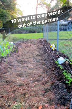 
                    
                        10 Ways To Keep Weeds Out Of Your Garden - Who has time to pull weeds? Not Me! Learn how to keep weeds out!
                    
                