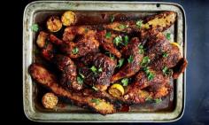 
                    
                        Spicy Grilled Chicken with Lemon and Parsley Recipe
                    
                