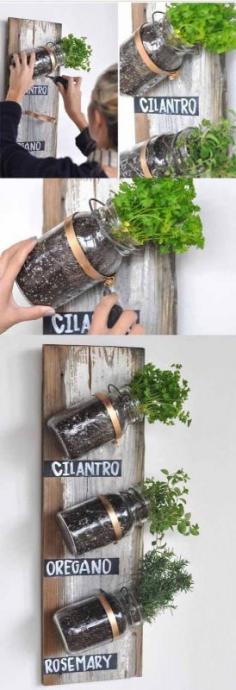 
                    
                        Transformed – Mason Jar Herb Garden
                    
                