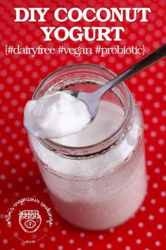 
                    
                        #DIY Coconut Yogurt - probiotic, #dairyfree, #vegan! | Nóri's ingenious cooking
                    
                