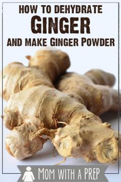 
                    
                        Mom with a PREP | How to Dehydrate Ginger Root and Make Ginger Powder --  How I Preseve Foods - a collaborative Round Robin of Food Preservation posts from Prepared Bloggers.com ---
                    
                