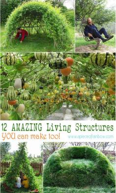 
                    
                        Gourd tunnel, Willow dome, Bean teepee ... 12 Amazing Living Structures You Can Make! - A Piece Of Rainbow
                    
                