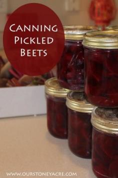 
                    
                        Canning Pickled Beets
                    
                