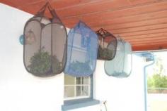 
                    
                        This is brilliant for air drying large quantities of herbs at one time! The collapsible, mesh laundry bag!
                    
                