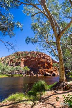 
                    
                        Surprised By The West MacDonnell Ranges
                    
                