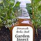 
                    
                        A DIY Organic Garden Insect Spray That Works!
                    
                