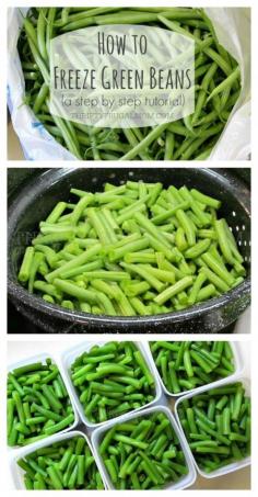 
                    
                        A step by step photo tutorial on how to preserve green beans by freezing them. It's super easy, plus they taste SO much better!
                    
                