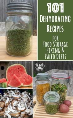 
                    
                        Mom with a Prep | 101+ Dehydrating Recipes for Food Storage, Hiking and Paleo Diets - build up your food storage for emergency preparedness with these great recipes.
                    
                
