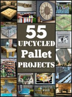 
                    
                        We love DIY pallet project! These 55 upcycled pallet project ideas are awesome. Recycling pallets as furniture, decor and practical purposes is so smart. Can't wait to try some of these! Which are your favorites?
                    
                