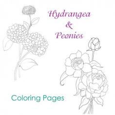 
                    
                        Hydrangea and Peony coloring pages or use them as patterns for crafting, painting, embroidery or transfers!
                    
                