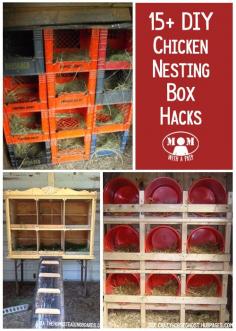 
                    
                        15+ Chicken Nesting Box Hacks @ Momwithaprep.com
                    
                