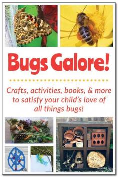 
                    
                        Bugs galore! 10 bug-themed activities, crafts, books, sensory play, songs, and more for kids ages 3-9! #bugs #insects #handsonlearning || Gift of Curiosity
                    
                