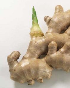 
                    
                        How to grow ginger in a pot
                    
                