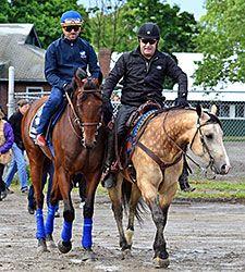 
                    
                        Smokey, the faithful sidekick of American Pharoah
                    
                